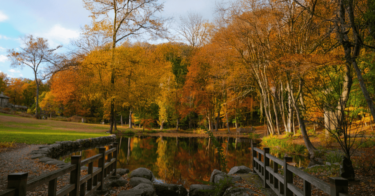 Western Connecticut Dental Practice for Sale