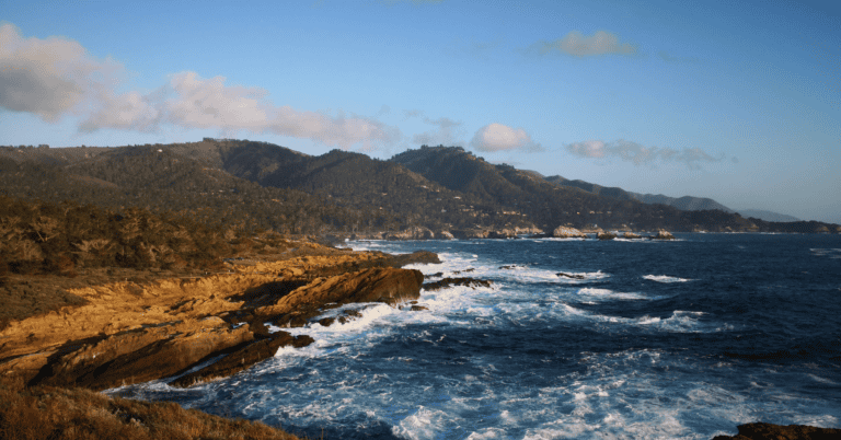 PTS Photo 768x402