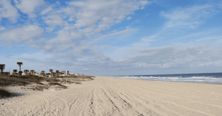 PTS Photo 1 768x402