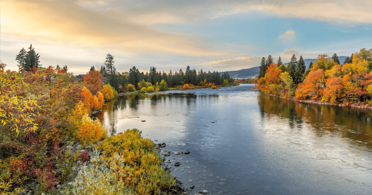 Washington State Pediatric Medical Practice for Sale