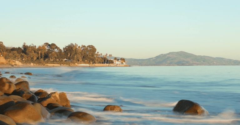 PTS Photo 8 768x402